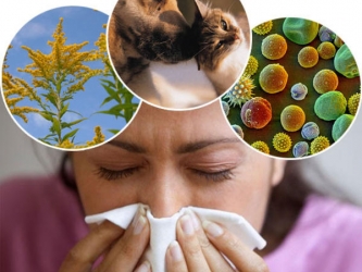 Что такое аллергия