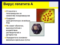 Презентация Гепатит А