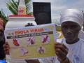 Болезнь, вызванная вирусом Эбола – симптомы и признаки