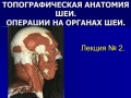 Презентация на тему Топографическая анатомия шеи и операции на органах шеи