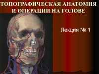 Презентация на тему Топографическая анатомия и операции на голове