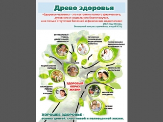 Плакат Древо здоровья