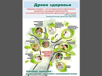 Плакат Древо здоровья